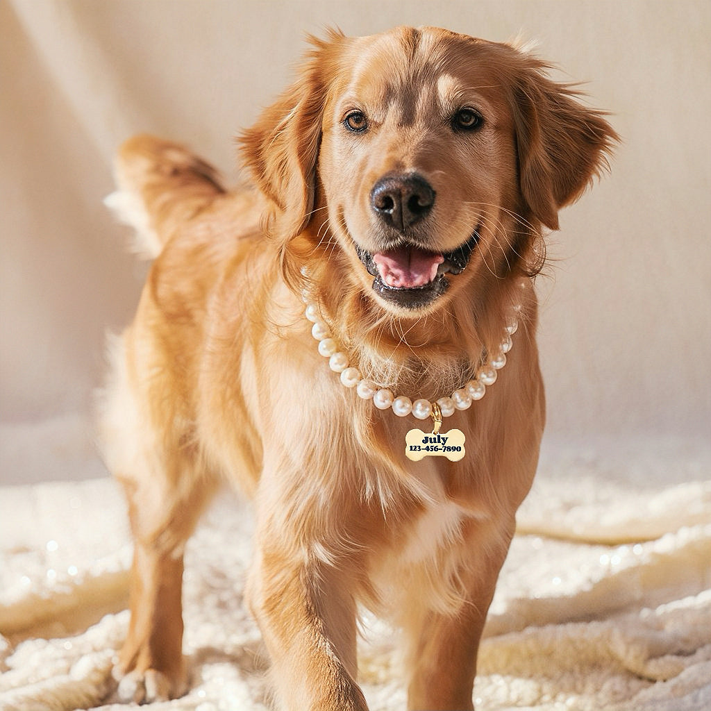 Custom Pet Photo ID Tag - Name & Phone Number