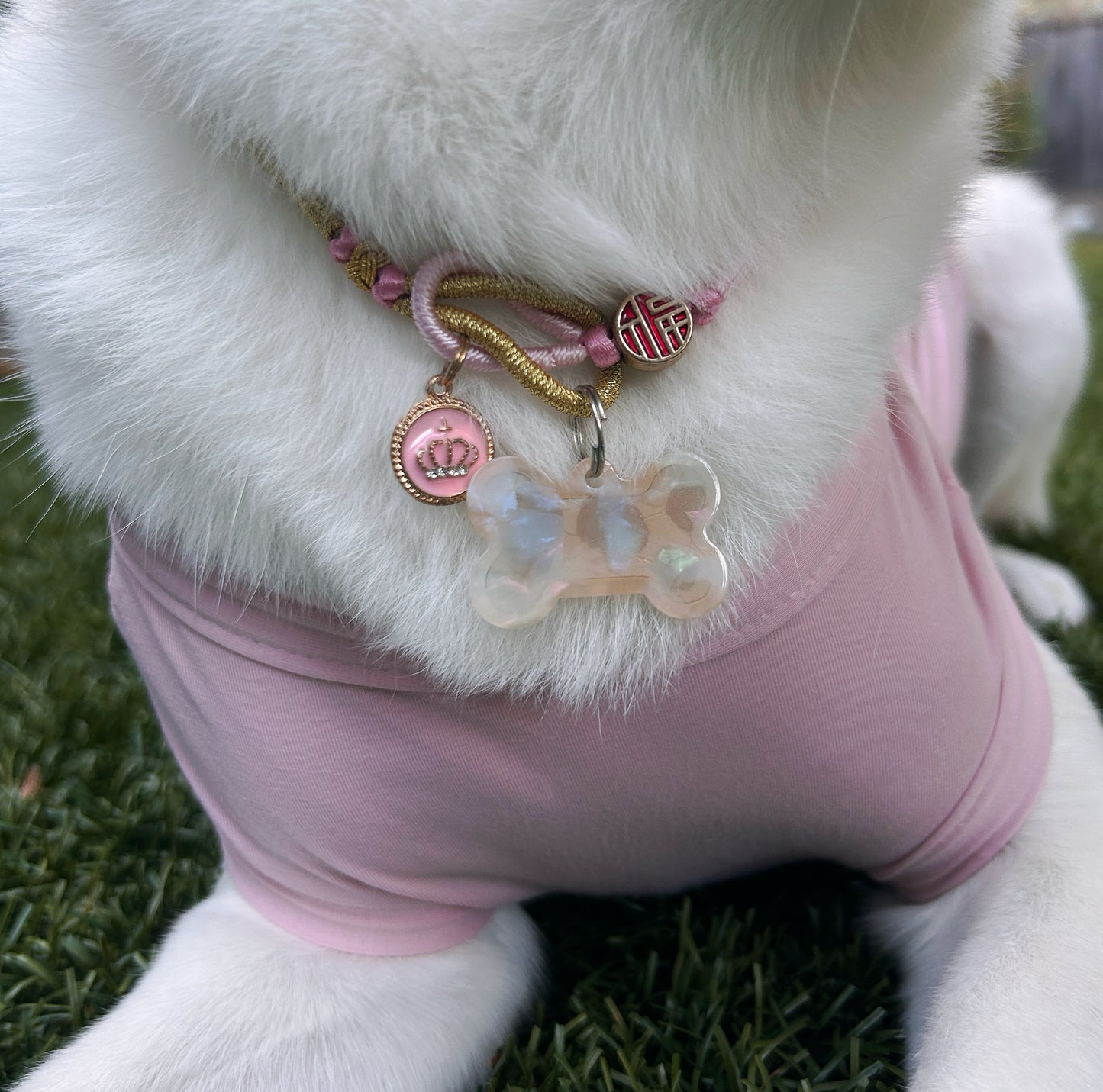 Custom Acrylic Dog Tag - Personalized Pet Name Tag
