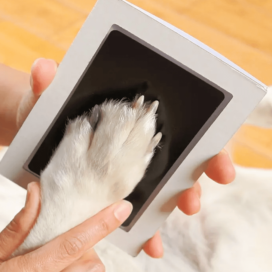 Pet Paw Print Keepsake Frame - Custom Memory Display