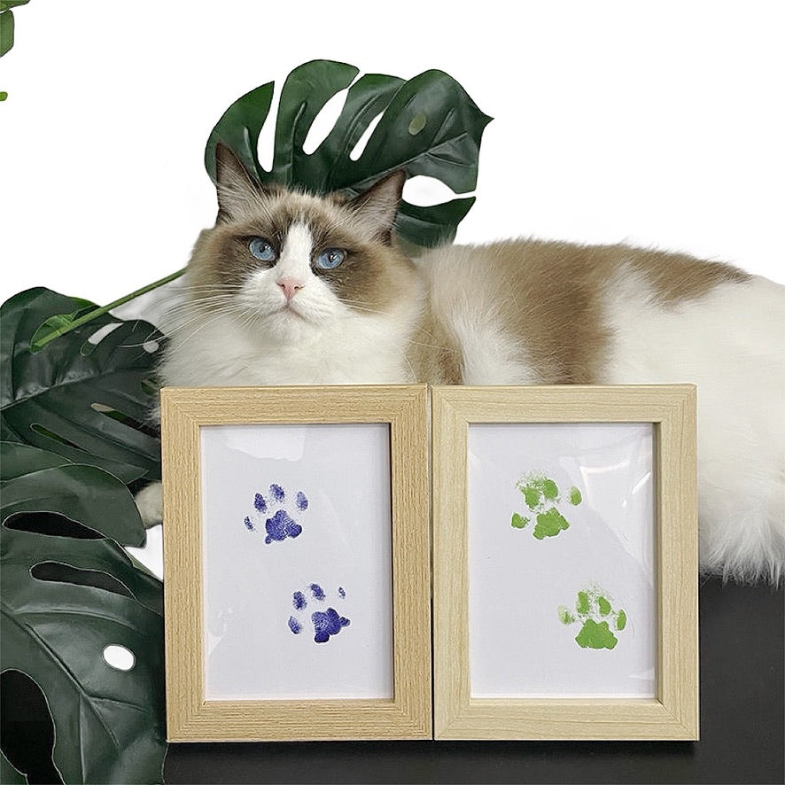Pet Paw Print Keepsake Frame - Custom Memory Display